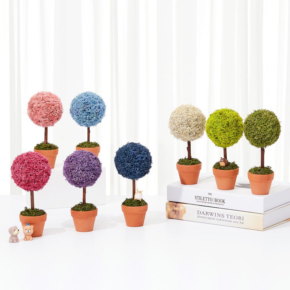 [ALLE] Moss Tree – 14-Color Moss | Air-Purifying, Humidity Control & Natural Aroma Diffuser - Made in KOREA